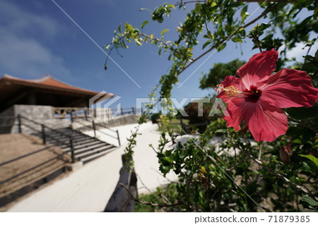 玉取崎天文台和芙蓉 71879385