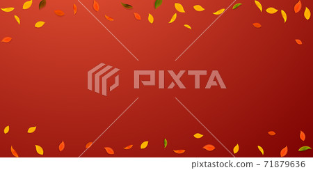 Falling autumn leaves. Red, yellow, green, brown r Falling autumn leaves. Red, yellow, green, brown r 71879636