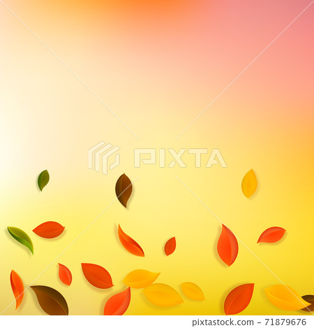 Falling autumn leaves. Red, yellow, green, brown c 71879676