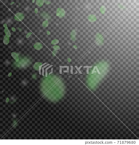 Green flower petals falling down. Pleasant romanti Green flower petals falling down. Pleasant romanti 71879680