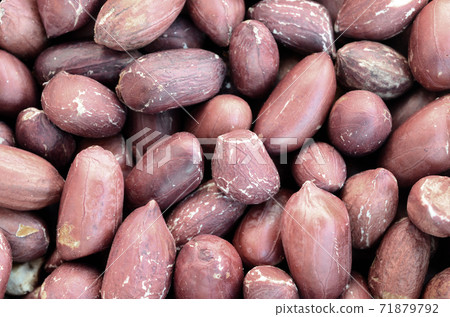 Peanut. A lot of small yellow nuts with brown peel. Background texture 71879792