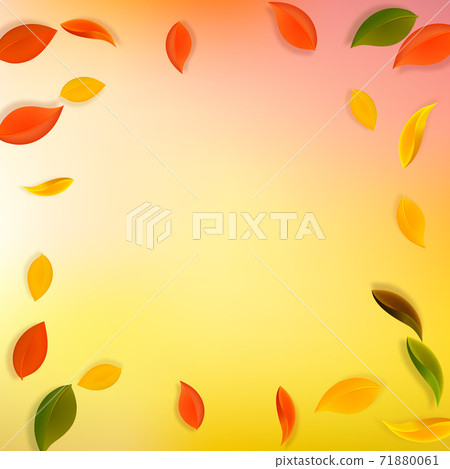 Falling autumn leaves. Red, yellow, green, brown n Falling autumn leaves. Red, yellow, green, brown n 71880061