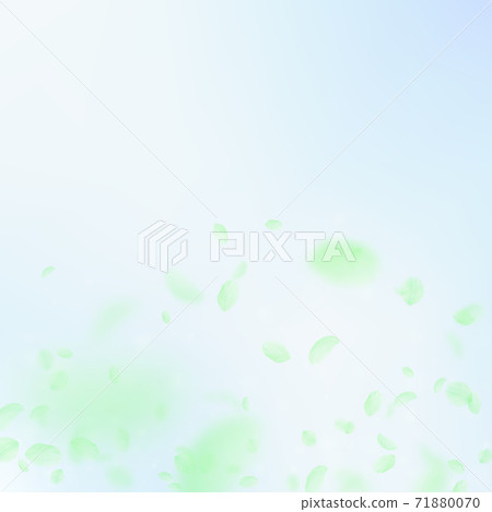 Green flower petals falling down. Exceptional roma Green flower petals falling down. Exceptional roma 71880070