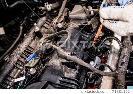 Close-up of checking the oil level in the car during service. Close-up of checking the oil level in the car during service. 71881192