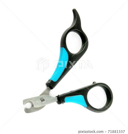 Scissors for claws for pets (dogs, cats) isolated on white . 71881337