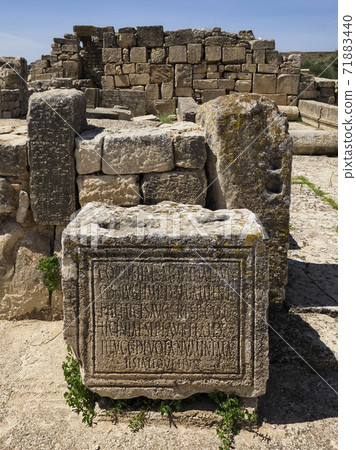 Roman Ruins of Dougga, Tunisia 71883440