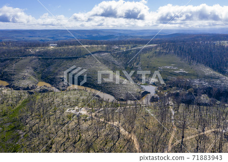Aerial view of forest regeneration and a water reservoir in regional Australia Aerial view of forest regeneration and a water reservoir in regional Australia 71883943
