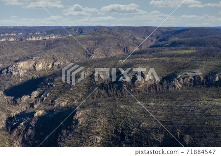 Aerial view of low clouds in a valley of forest regeneration after bushfires in regional Australia Aerial view of low clouds in a valley of forest regeneration after bushfires in regional Australia 71884547
