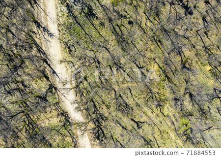 Aerial view of a dirt road in a forest affected by bushfire in regional Australia Aerial view of a dirt road in a forest affected by bushfire in regional Australia 71884553