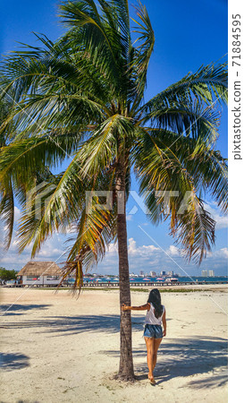 Sayulita beach beautiful sunset with palm trees at Sayulita in Mexico. Sayulita beach beautiful sunset with palm trees at Sayulita in Mexico. 71884595