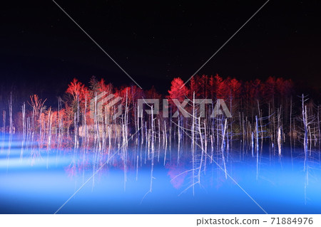 Biei-cho, Hokkaido_Blue Pond_Winter Illumination and Orion [November] 71884976