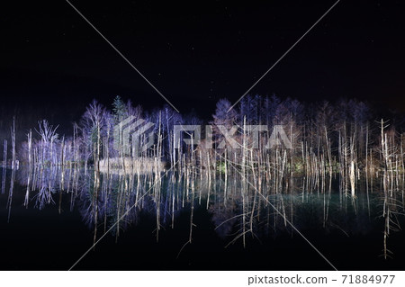 Biei-cho, Hokkaido_Blue Pond_Winter Illumination and Orion [November] 71884977