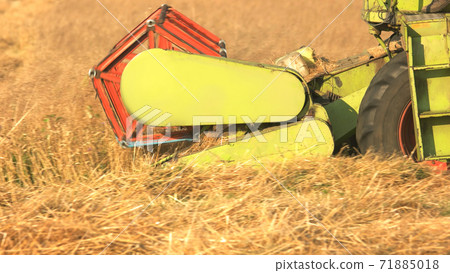 Combiner harvesting, close up. 71885018