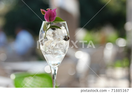 Ice cubes with flower in glass. Ice cubes with flower in glass. 71885167