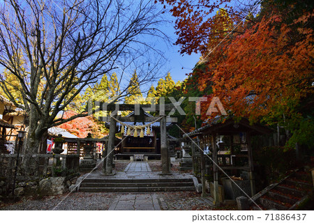 Nantan City Ikimitenmangu Shrine Blue Sky and Worship Hall 71886437