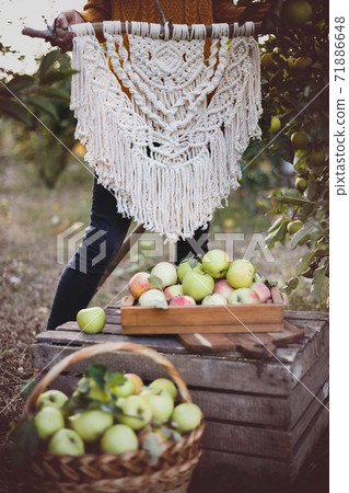 creation of a panel from macrame creation of a panel from macrame 71886648