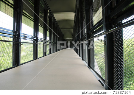 Tenryu Gorge Ohashi Sora Sanpo 71887164