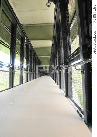 Tenryu Gorge Ohashi Sora Sanpo 71887165