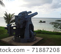 Guam cannon 71887208