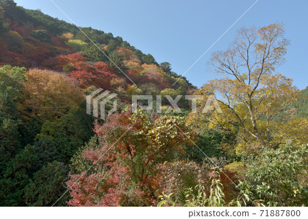 秋山 71887800