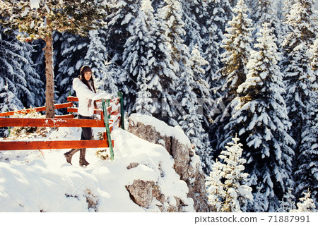 woman walk in winter forest with snow 71887991