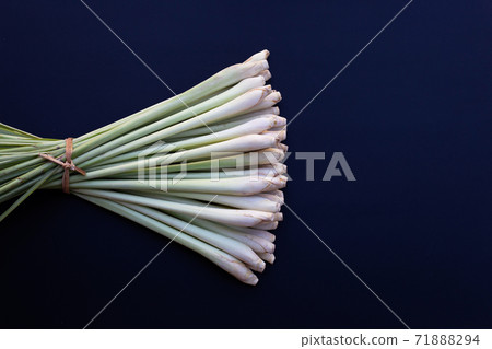 Fresh lemongrass on dark background. 71888294