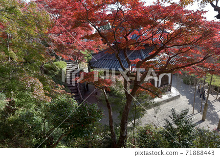 秋善明寺秋葉和京都京都共同社 秋善明寺秋葉和京都京都共同社 71888443