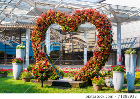 Osaka Nagai Park Heart-shaped flower arch 71888938