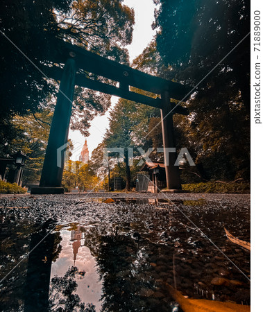 Torii of Meiji Shrine 71889000