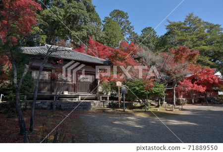 京都市秋天的金寺寺名堂和喚醒Korei走廊 京都市秋天的金寺寺名堂和喚醒Korei走廊 71889550