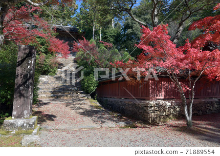 秋金寺寺喚醒Korei走廊和京都市鐘樓 71889554