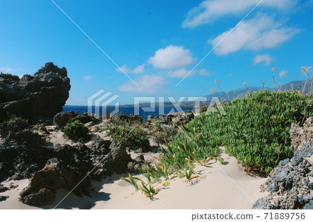 Tropical beach with white sand dune in front and azure water sea. Beach and sea photo Tropical beach with white sand dune in front and azure water sea. Beach and sea photo 71889756