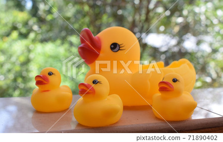 Rubber ducky with her ducklings 71890402