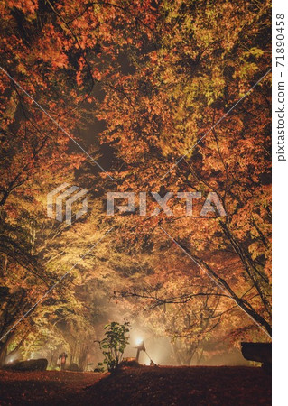 Autumn leaves garden 30th road garden at night Unzen City, Nagasaki Prefecture Autumn leaves garden 30th road garden at night Unzen City, Nagasaki Prefecture 71890458