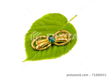 colorful brooch on green tree leaf isolated on white colorful brooch on green tree leaf isolated on white 71890931