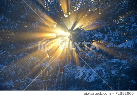 winter morning sunrise and fog background 71891006
