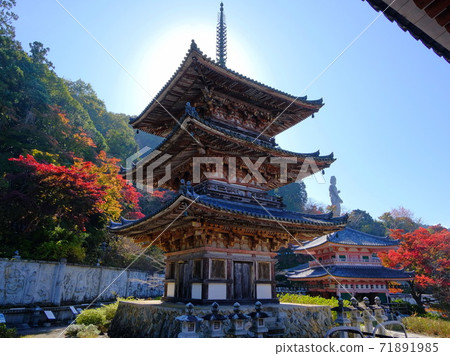 33個西方國家的Fudasho Tsubosakaji第6名 71891985