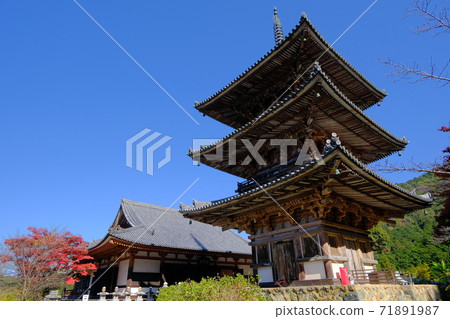 33個西方國家的Fudasho Tsubosakaji第6名 33個西方國家的Fudasho Tsubosakaji第6名 71891987