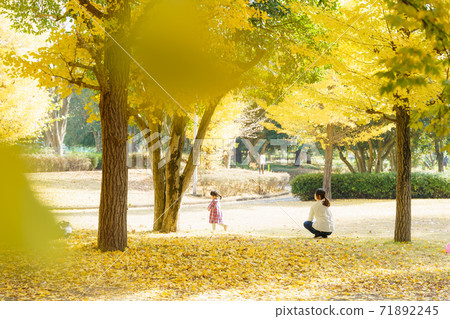 Parents and children playing in the autumn park Parents and children playing in the autumn park 71892245