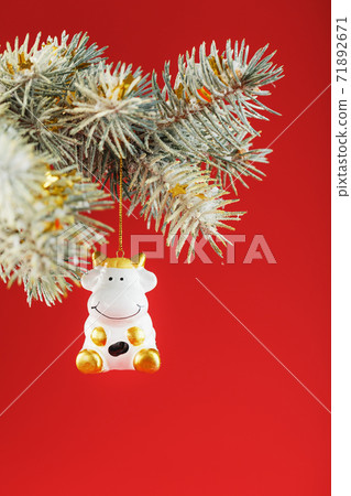 A figurine of a cow on a Christmas card on a red background, free space for text. A figurine of a cow on a Christmas card on a red background, free space for text. 71892671