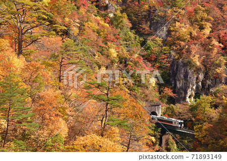 A train running in the Naruko Gorge of autumn leaves 71893149
