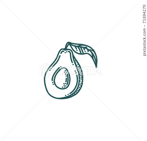 Avocado in doodle style. Half of avocado isolated in white background. Vector illustration Avocado in doodle style. Half of avocado isolated in white background. Vector illustration 71894270