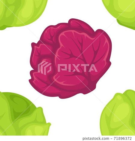 Green and purple cabbage seamless pattern vegetable harvest 71896372