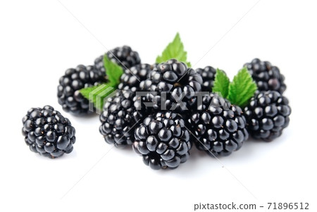 Blackberry with leaves on white backgrounds. 71896512