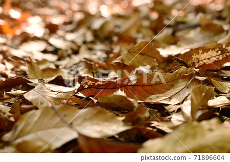 Background material Background material 71896604