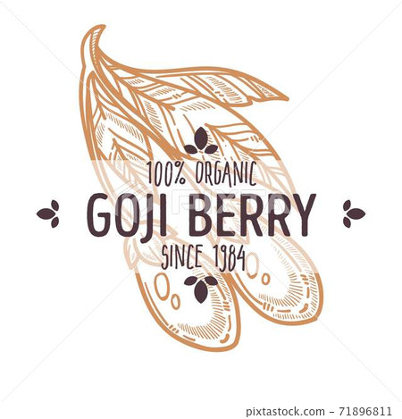 Goji berry isolated icon organic exotic food Goji berry isolated icon organic exotic food 71896811