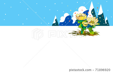 Amur adonis, a yellow flower that brings happiness Amur adonis, a yellow flower that brings happiness 71896920