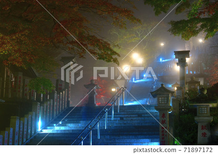 Kanagawa Prefecture_Oyama Afuri Shrine Illumination_Autumn leaves Kanagawa Prefecture_Oyama Afuri Shrine Illumination_Autumn leaves 71897172