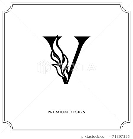 Elegant letter V. Graceful royal style. Calligraphic beautiful logo. Vintage drawn emblem for book design, brand name, business card, Restaurant, Boutique, Hotel. Vector illustration 71897335