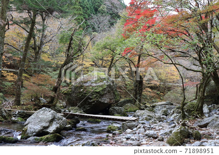 Oda Miyama Valley in Autumn Oda Miyama Valley in Autumn 71898951